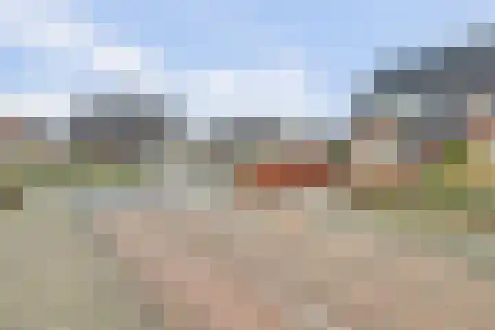 Boonkamp 1 Ammerzoden thumbnail 33