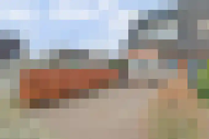 Boonkamp 1 Ammerzoden thumbnail 35