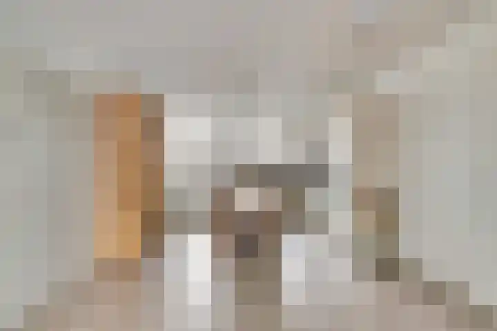 Boonkamp 1 Ammerzoden thumbnail 7