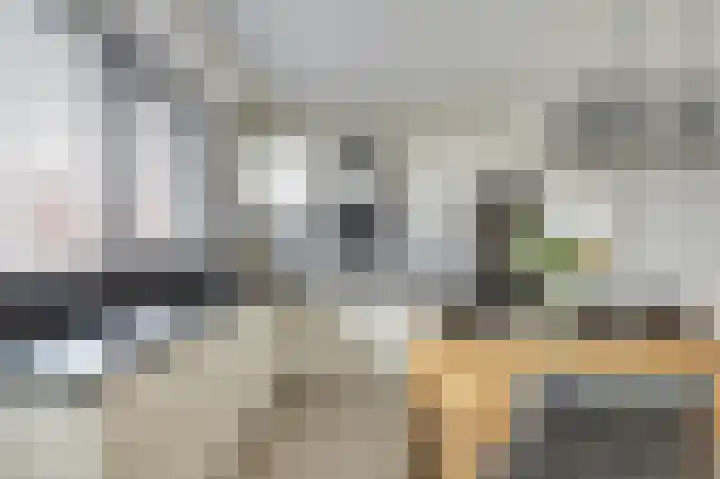 Boonkamp 1 Ammerzoden thumbnail 8