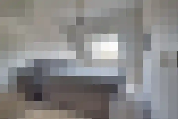 Boonkamp 13 Ammerzoden thumbnail 10