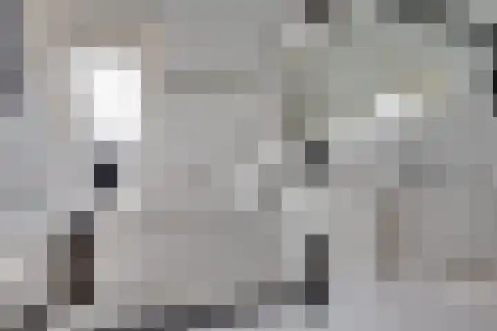 Boonkamp 13 Ammerzoden thumbnail 15