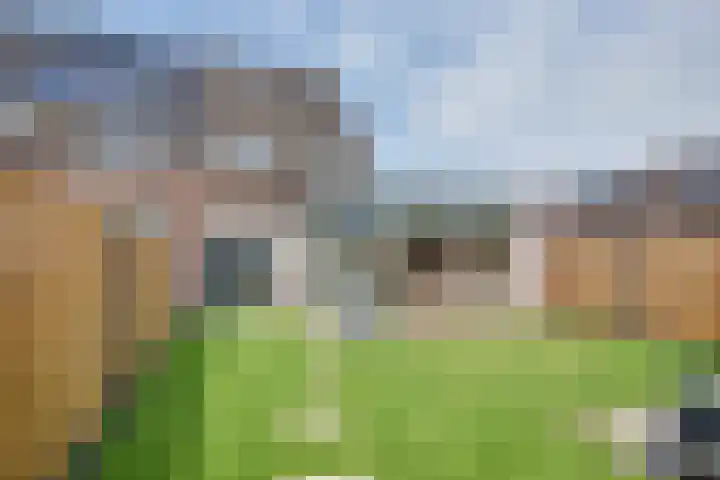 Boonkamp 13 Ammerzoden thumbnail 21