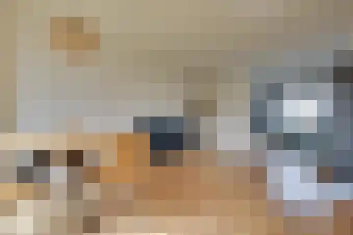 Boonkamp 13 Ammerzoden thumbnail 5