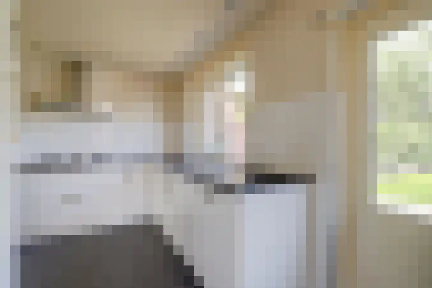 Boonkamp 30 Ammerzoden thumbnail 15