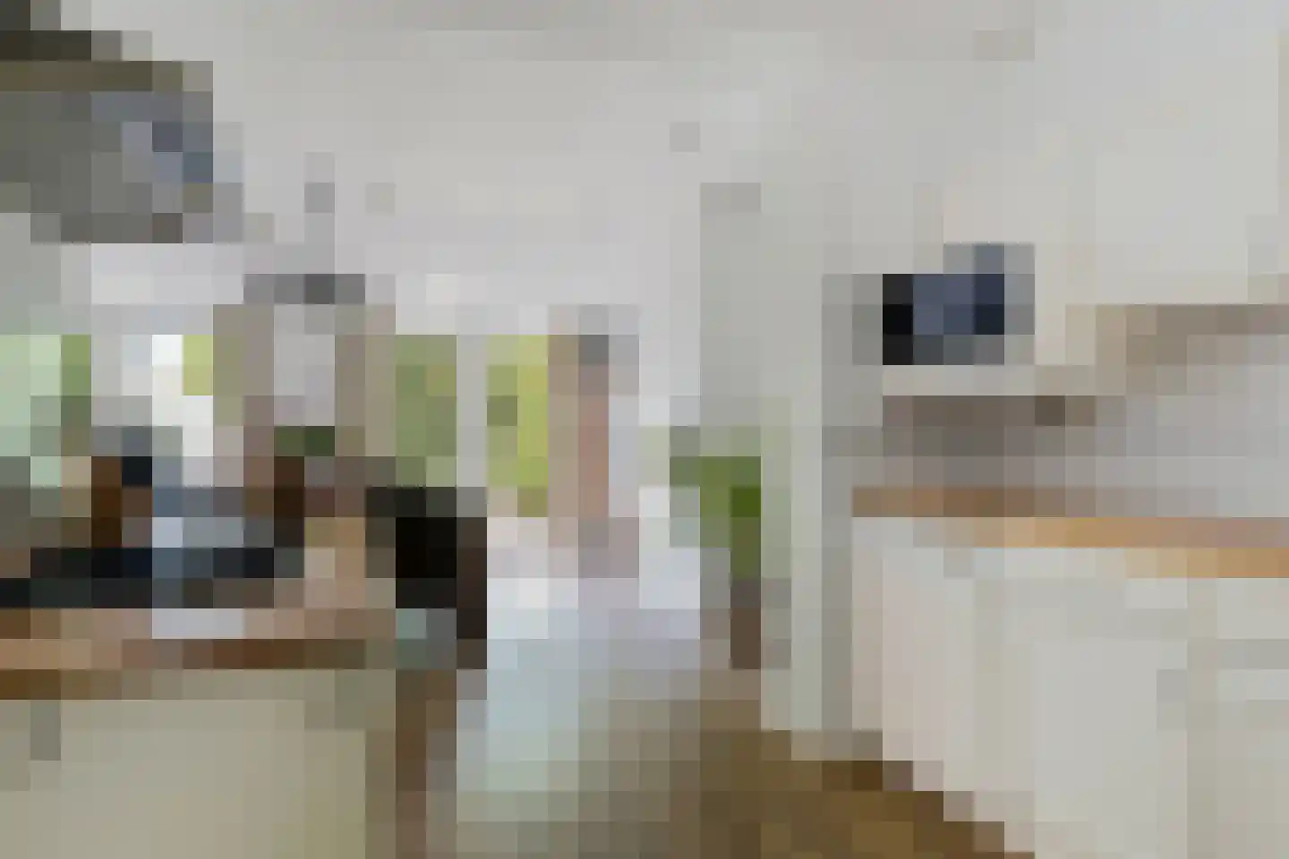Boonkamp 32 Ammerzoden thumbnail 13