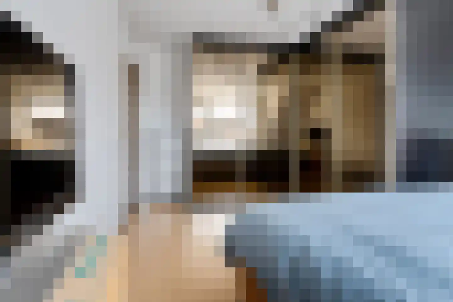 Boonkamp 32 Ammerzoden thumbnail 28