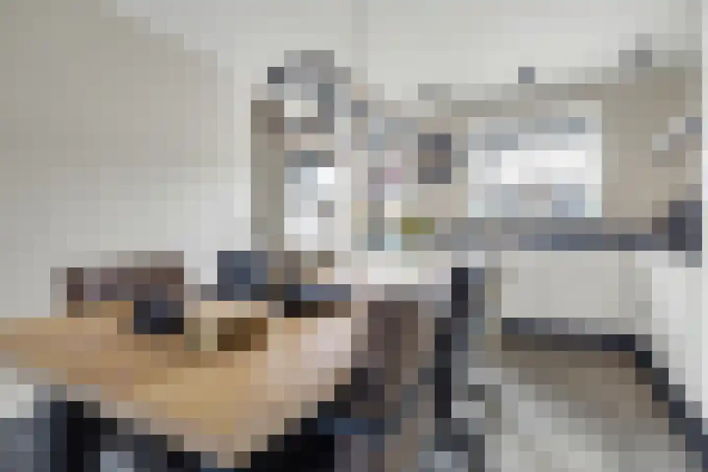 Boonkamp 5 Ammerzoden thumbnail 12