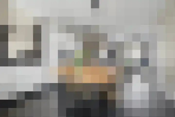 Boonkamp 5 Ammerzoden thumbnail 13