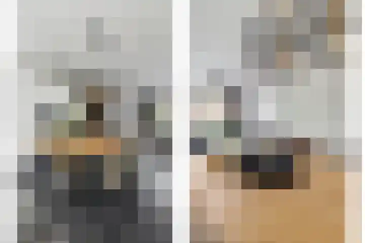 Boonkamp 5 Ammerzoden thumbnail 16