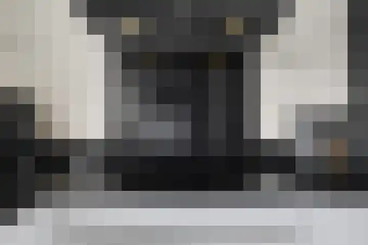 Boonkamp 5 Ammerzoden thumbnail 19