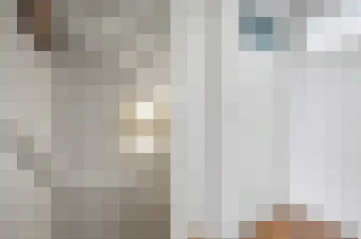 Boonkamp 5 Ammerzoden thumbnail 21