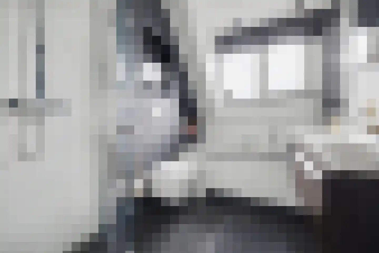 Boonkamp 5 Ammerzoden thumbnail 30