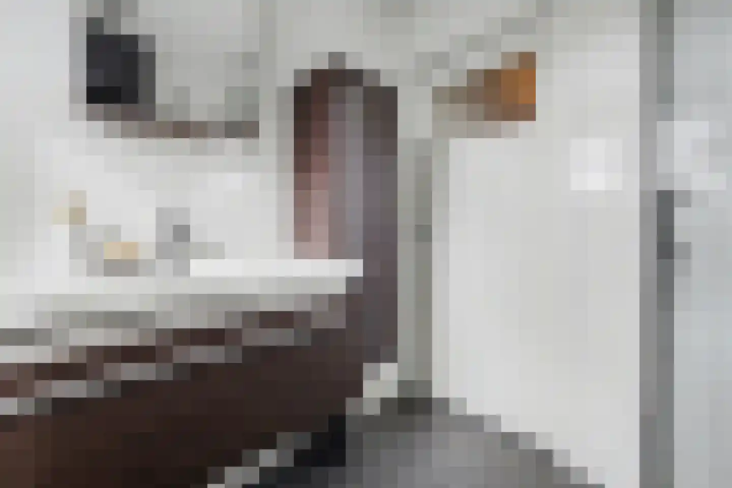 Boonkamp 5 Ammerzoden thumbnail 31
