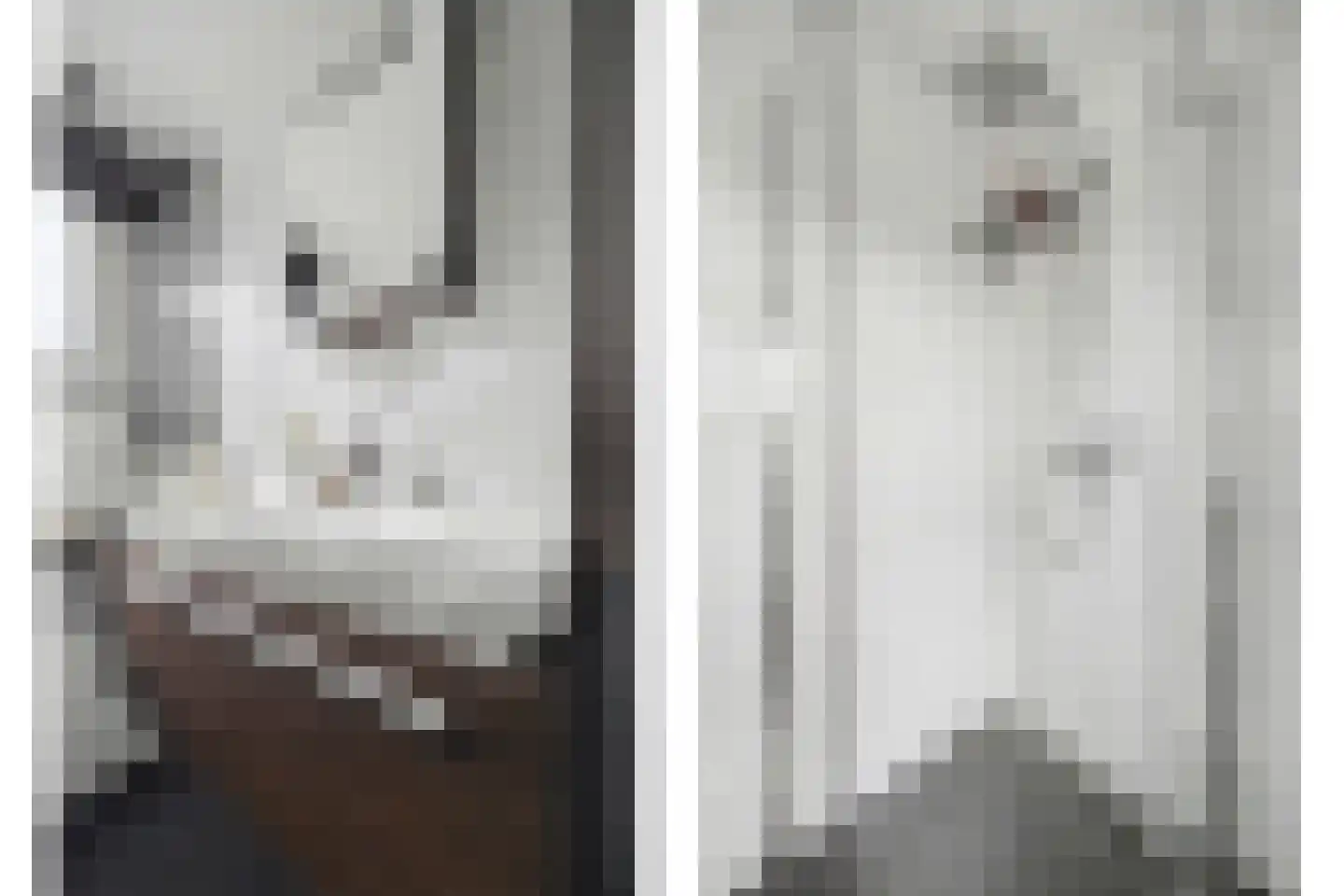 Boonkamp 5 Ammerzoden thumbnail 33