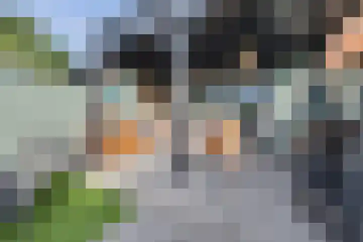 Boonkamp 5 Ammerzoden thumbnail 37