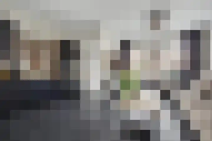Boonkamp 5 Ammerzoden thumbnail 5