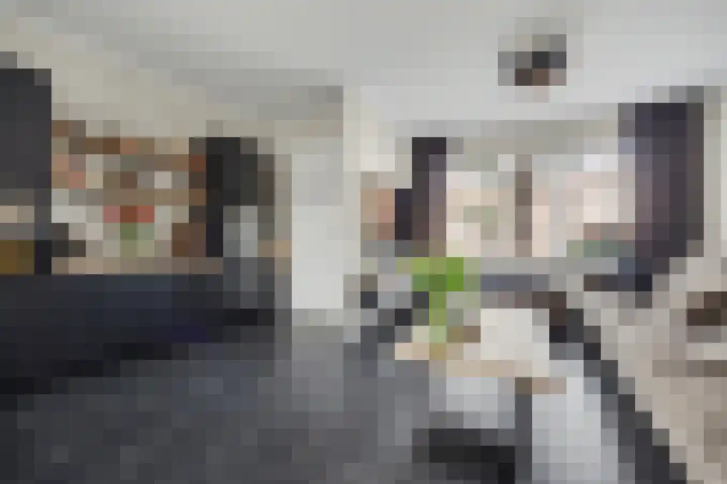 Boonkamp 5 Ammerzoden thumbnail 5