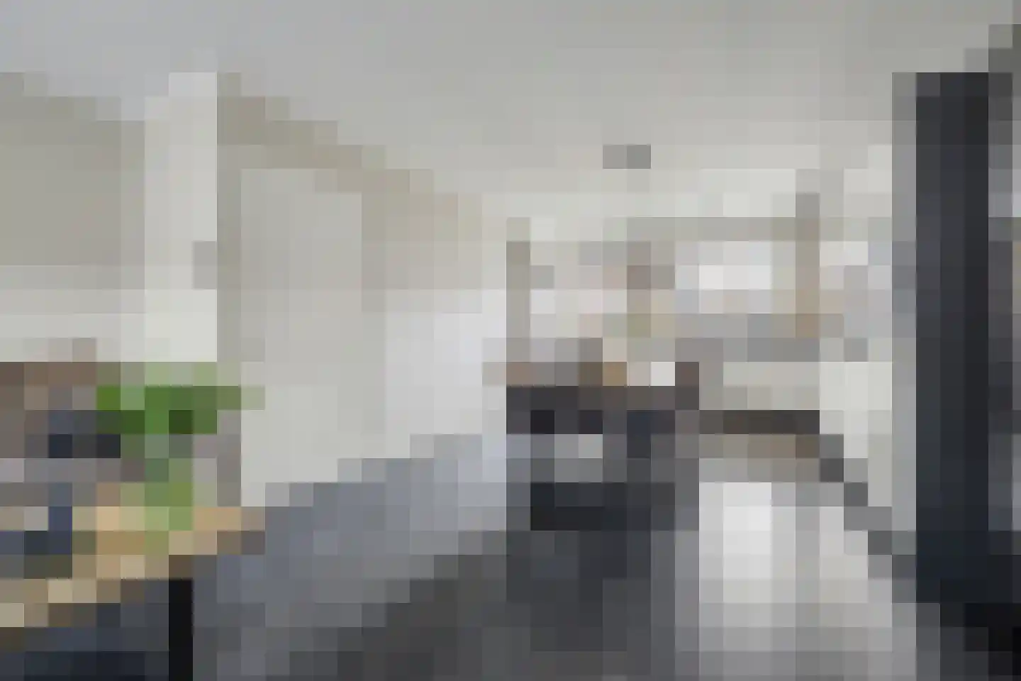 Boonkamp 5 Ammerzoden thumbnail 6