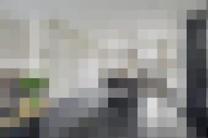 Boonkamp 5 Ammerzoden thumbnail 6