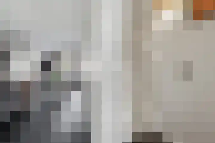Boonkamp 5 Ammerzoden thumbnail 8