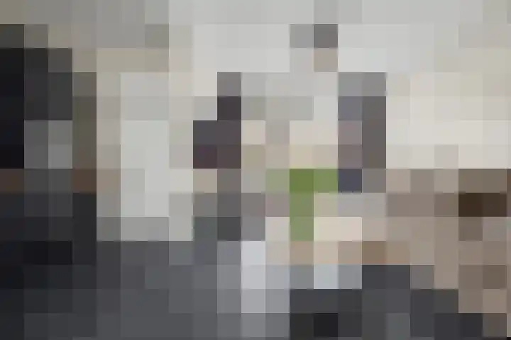 Boonkamp 5 Ammerzoden thumbnail 9
