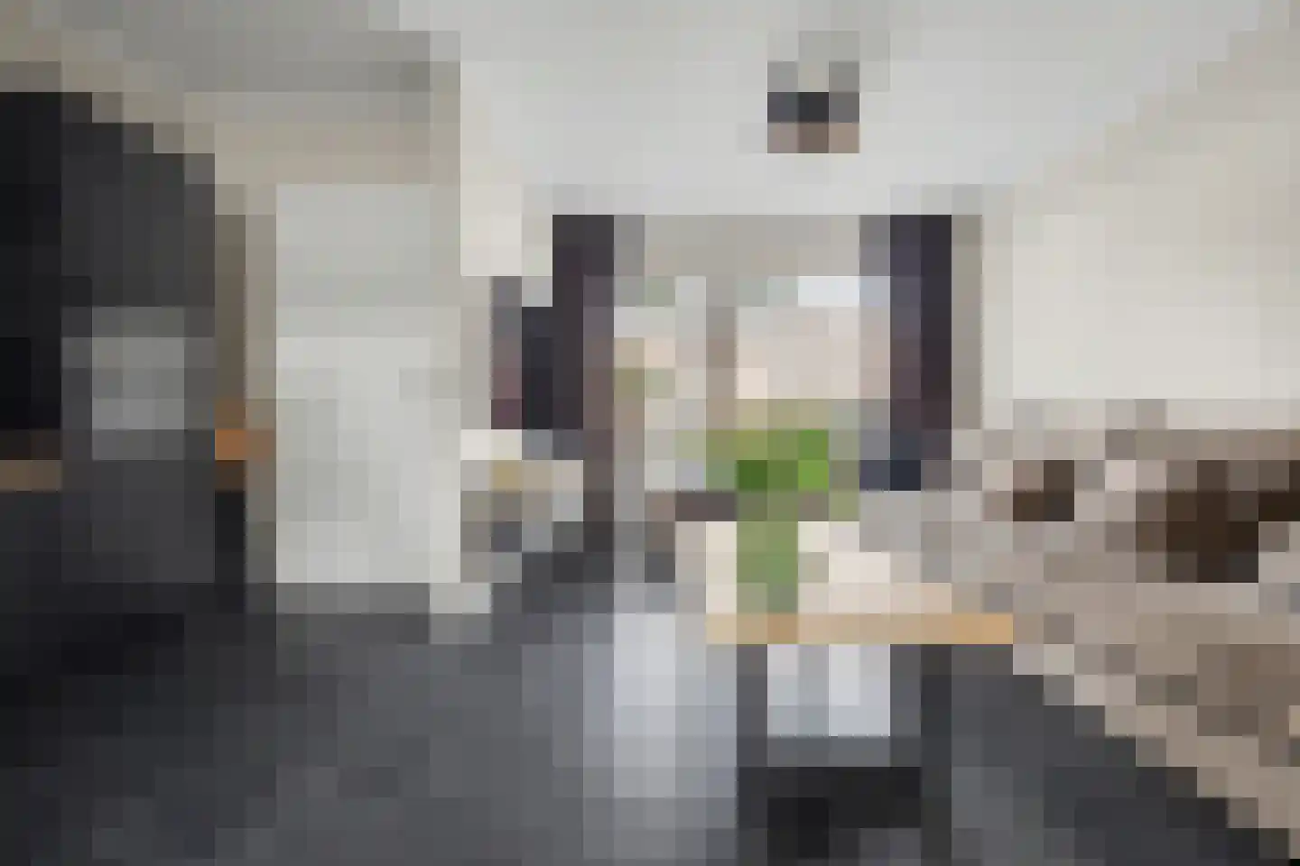 Boonkamp 5 Ammerzoden thumbnail 9
