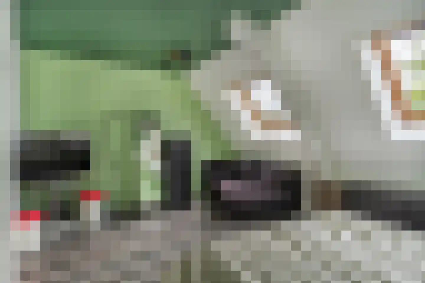 Boonkamp 7 Ammerzoden thumbnail 20
