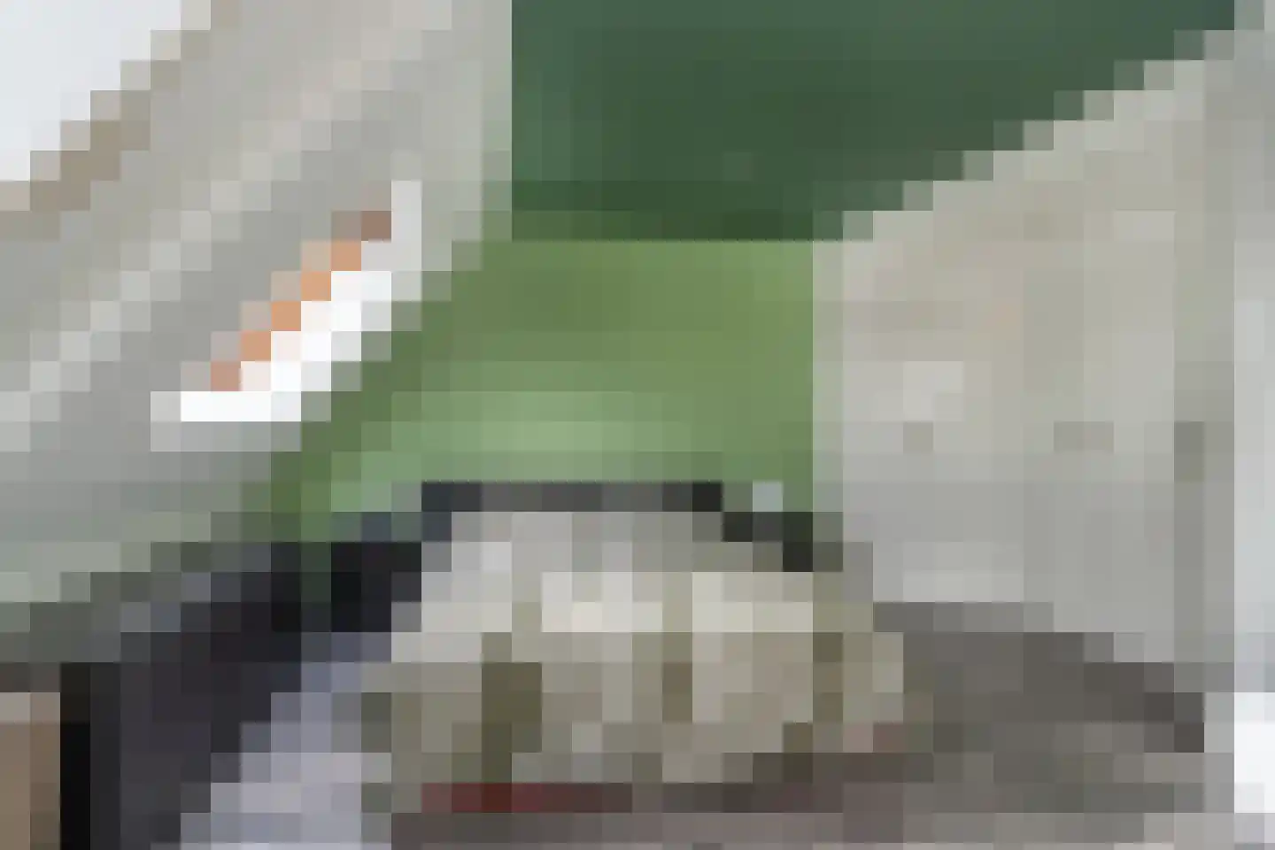 Boonkamp 7 Ammerzoden thumbnail 21