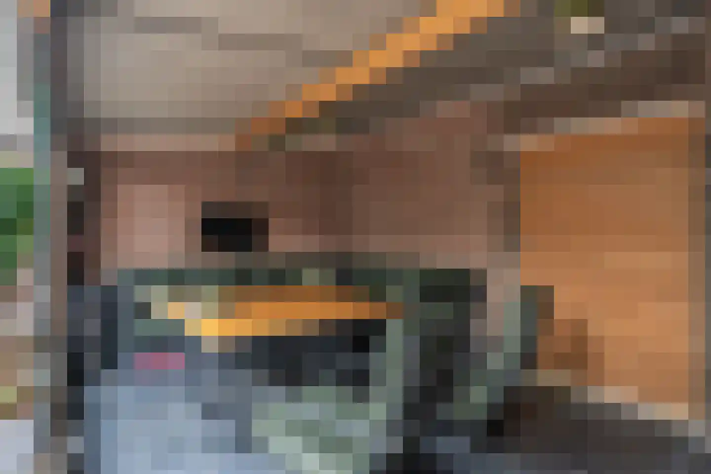Boonkamp 7 Ammerzoden thumbnail 30