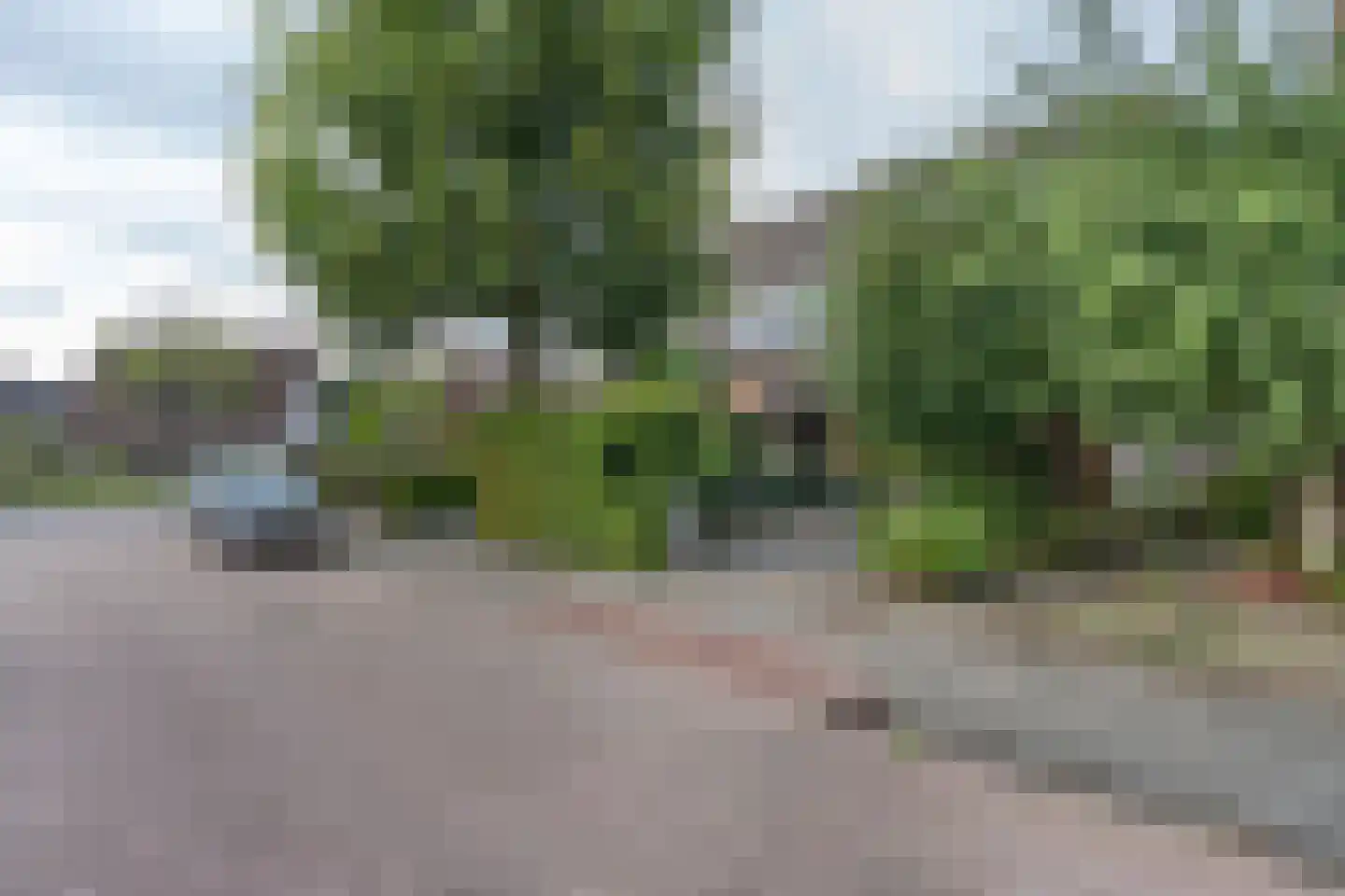 Boonkamp 7 Ammerzoden thumbnail 31