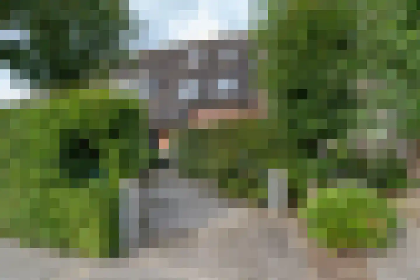 Boonkamp 7 Ammerzoden thumbnail 8