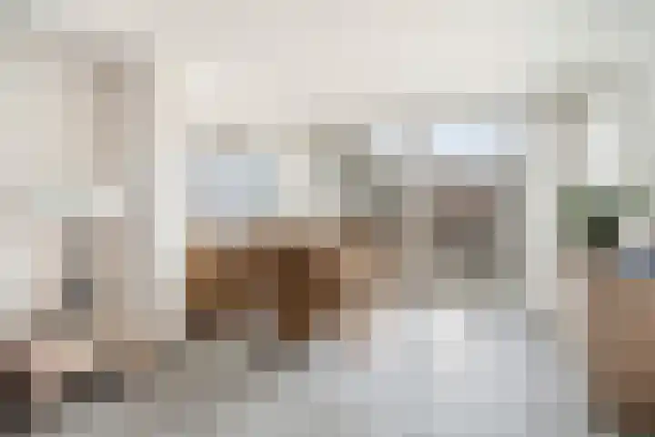 Boonstraat 20 Pernis Rotterdam thumbnail 16