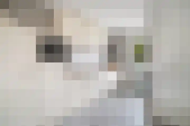 Boonstraat 20 Pernis Rotterdam thumbnail 4