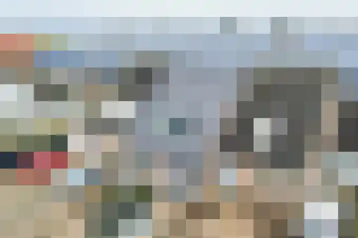 Boonstraat 9 Buggenum thumbnail 16