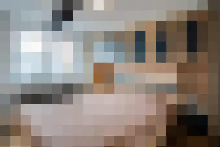 Boonstraat 9 Buggenum thumbnail 5