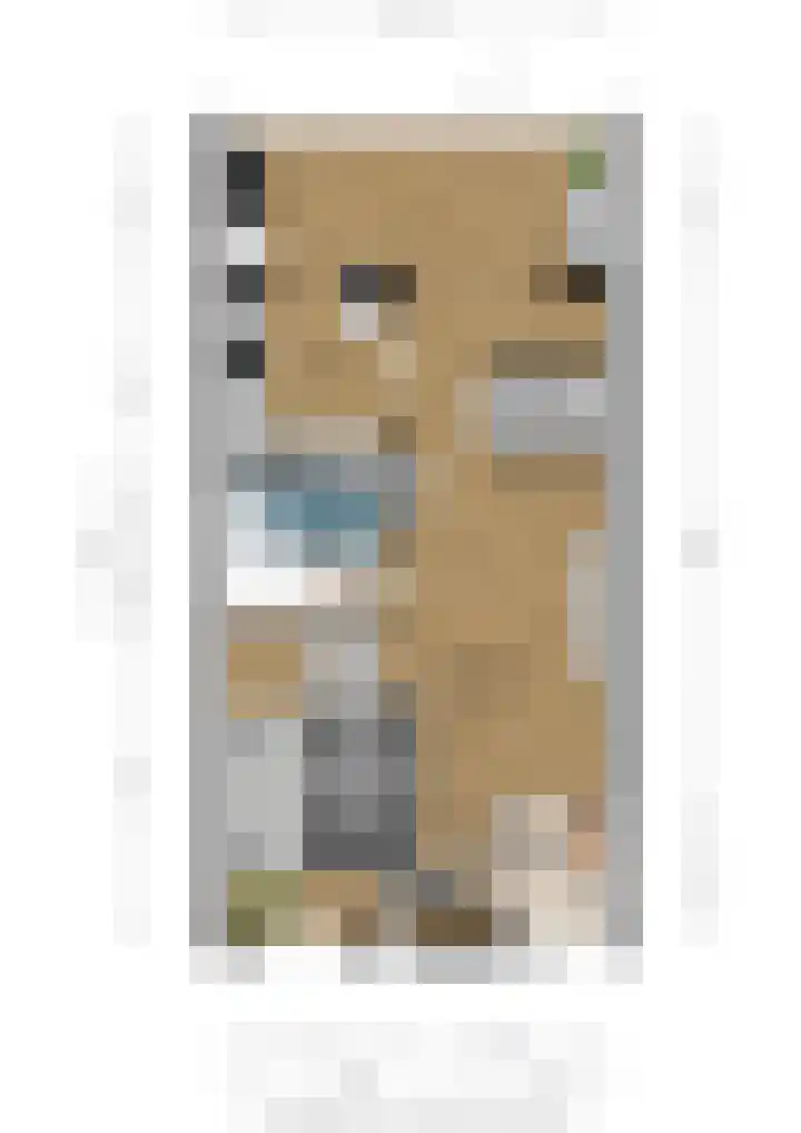 Boonstraat 9 Buggenum thumbnail 64