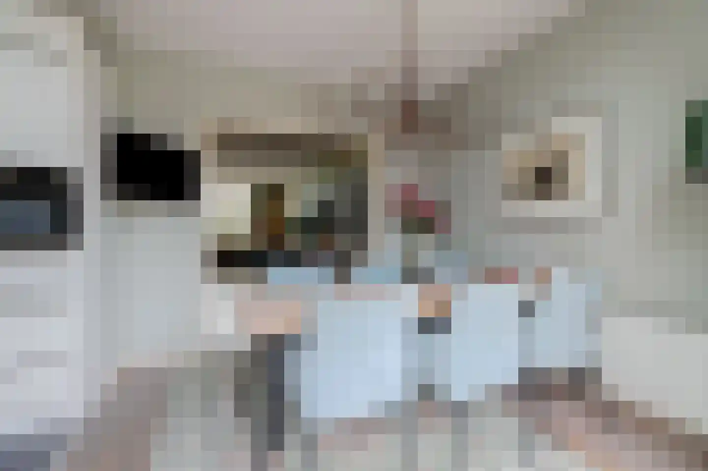Boontjes 111 Harlingen thumbnail 11