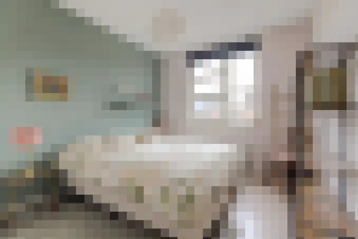 Boontjes 111 Harlingen thumbnail 23
