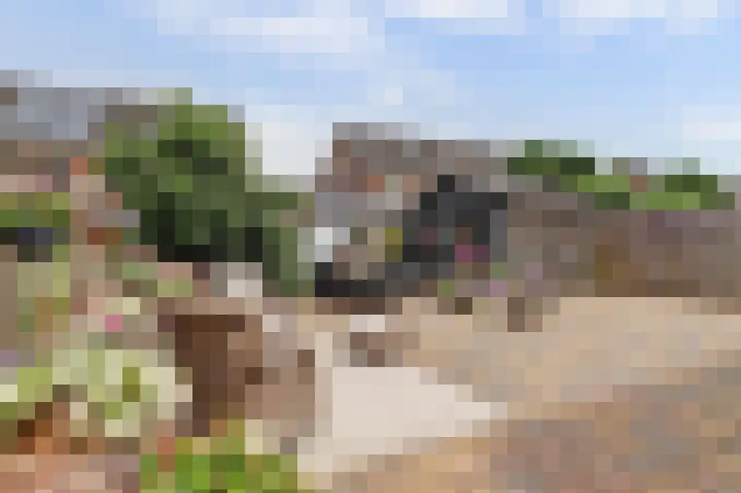 Boontjes 111 Harlingen thumbnail 33
