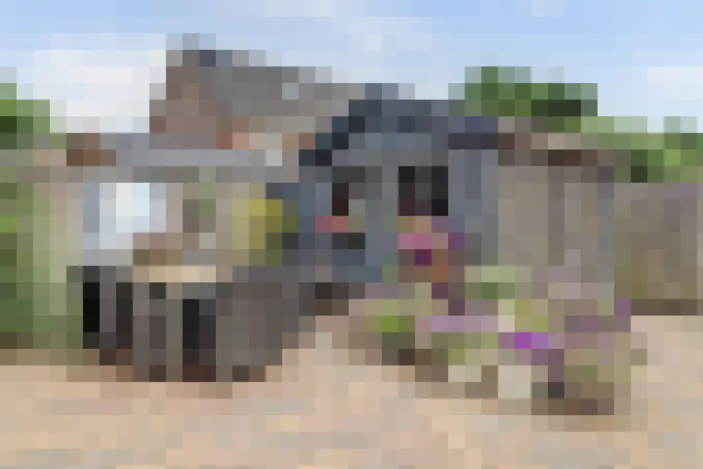 Boontjes 111 Harlingen thumbnail 34