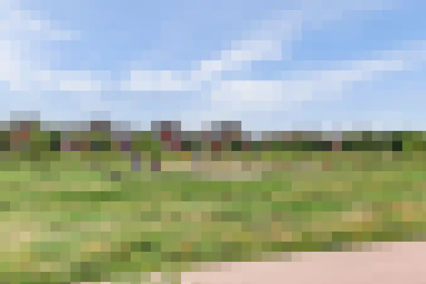 Boontjes 111 Harlingen thumbnail 49