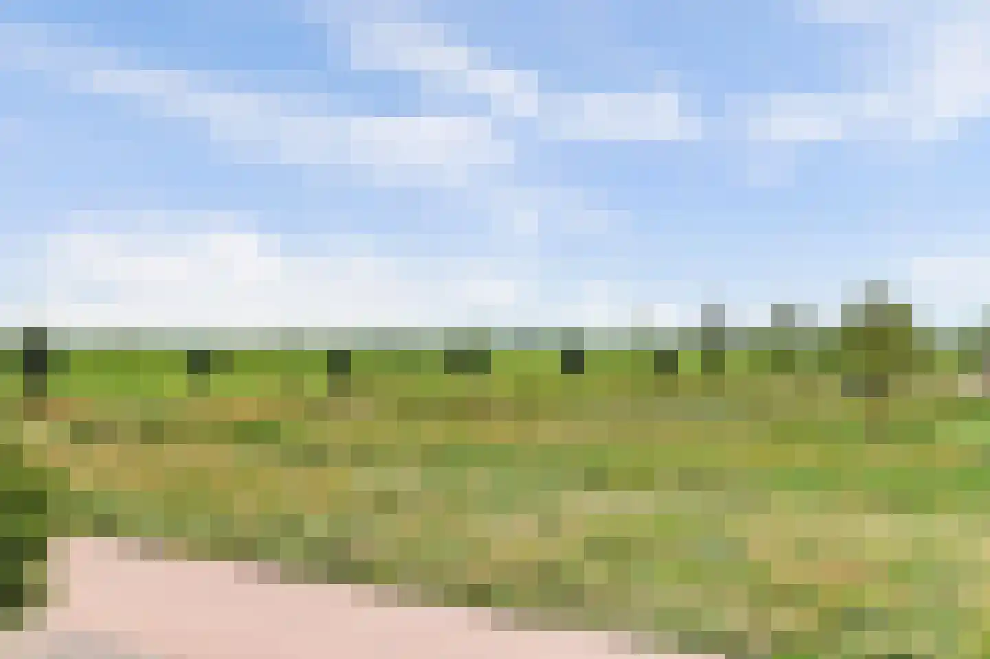 Boontjes 111 Harlingen thumbnail 50