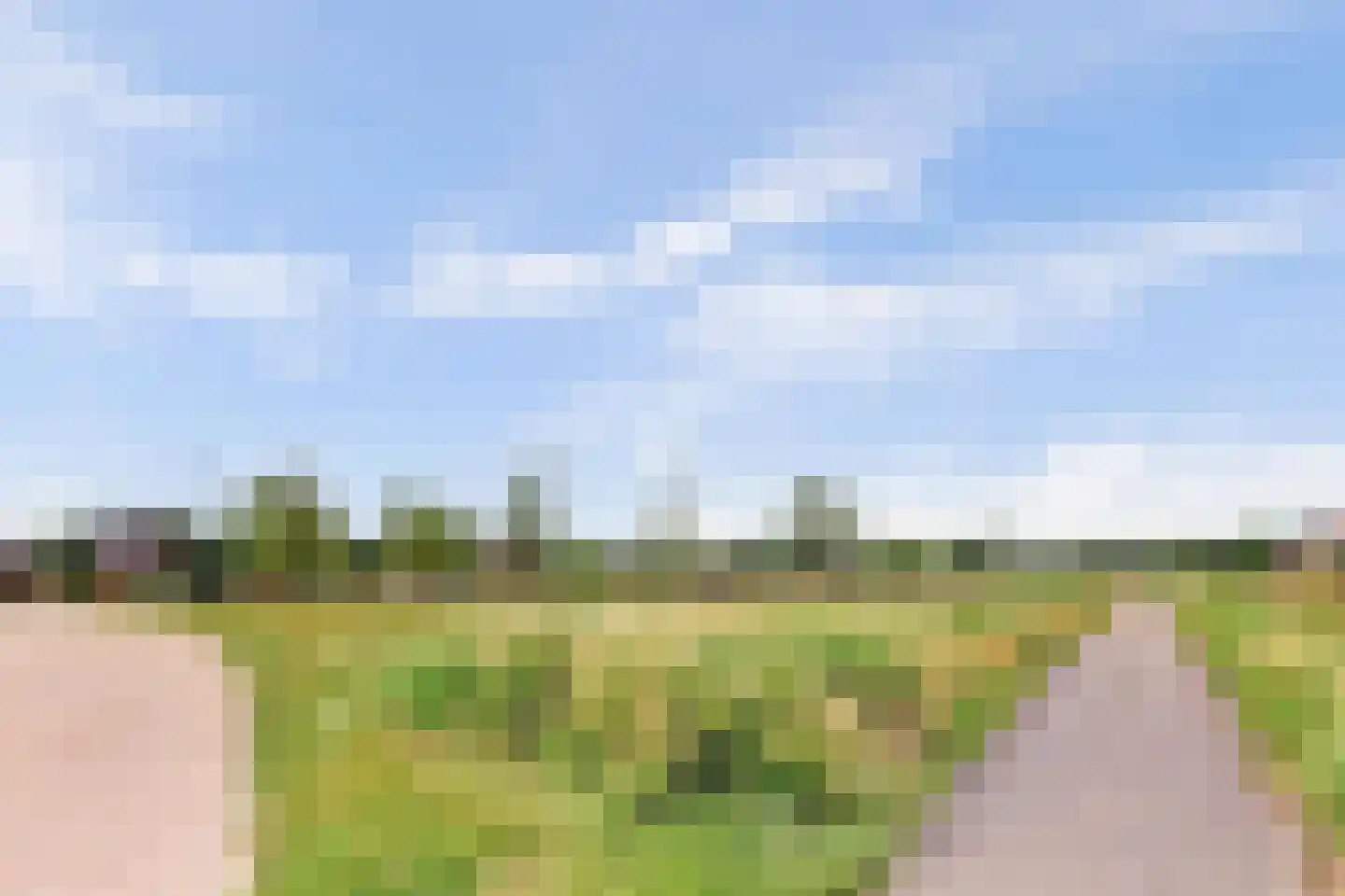 Boontjes 111 Harlingen thumbnail 51