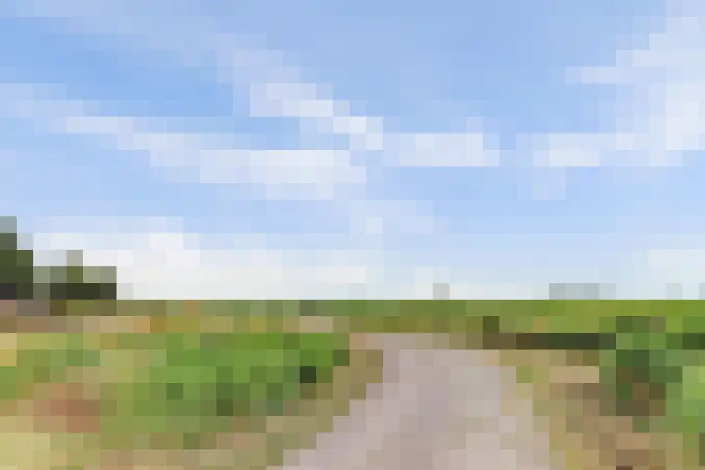 Boontjes 111 Harlingen thumbnail 52