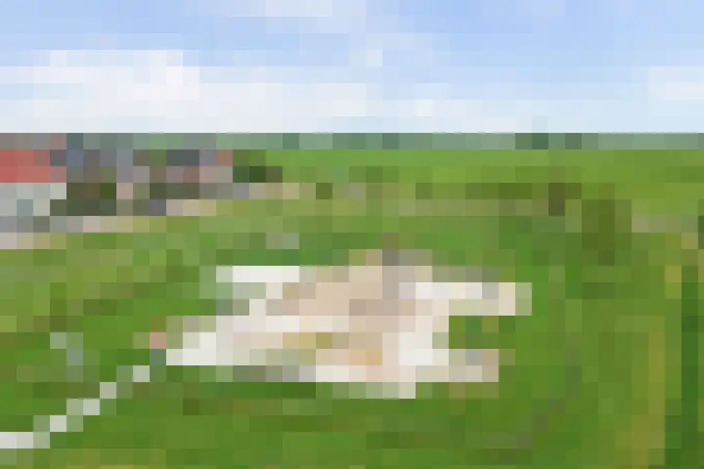 Boontjes 111 Harlingen thumbnail 53