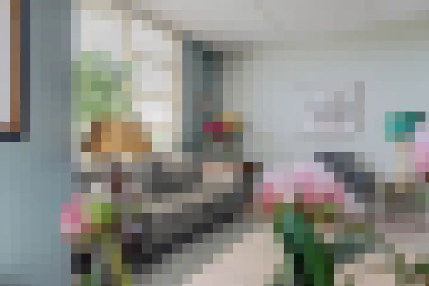 Boontjes 111 Harlingen thumbnail 6