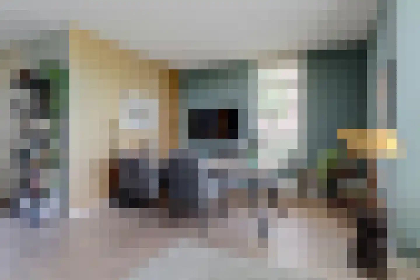Boontjes 111 Harlingen thumbnail 8