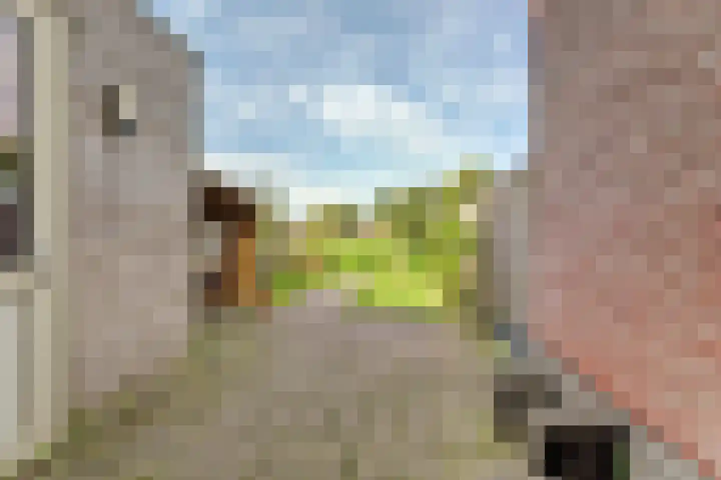 Boontjes 28 Harlingen thumbnail 31