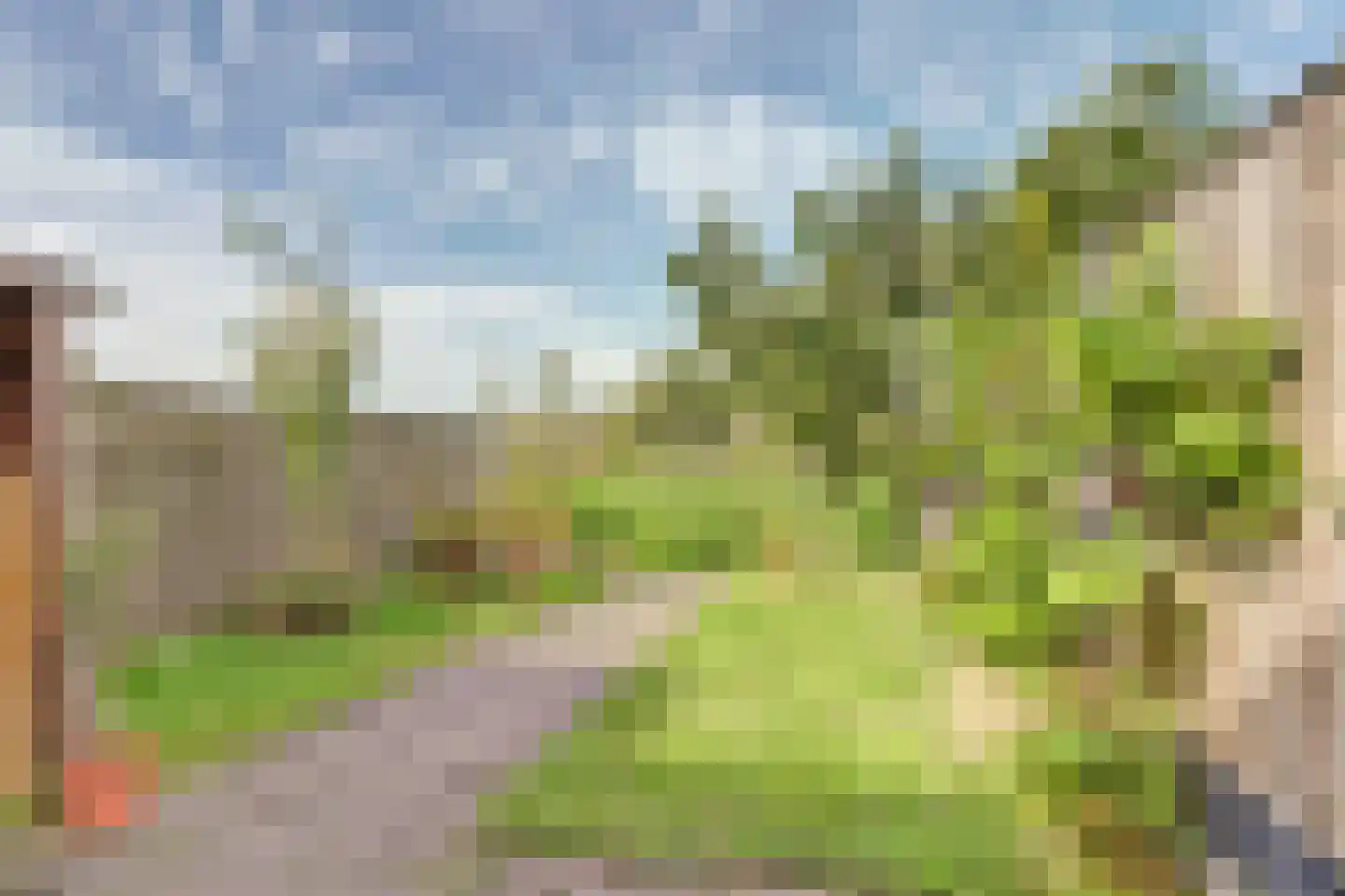 Boontjes 28 Harlingen thumbnail 32